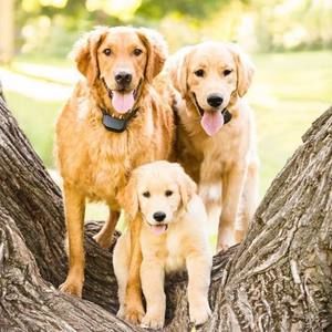 Meet your Posher, Karrie